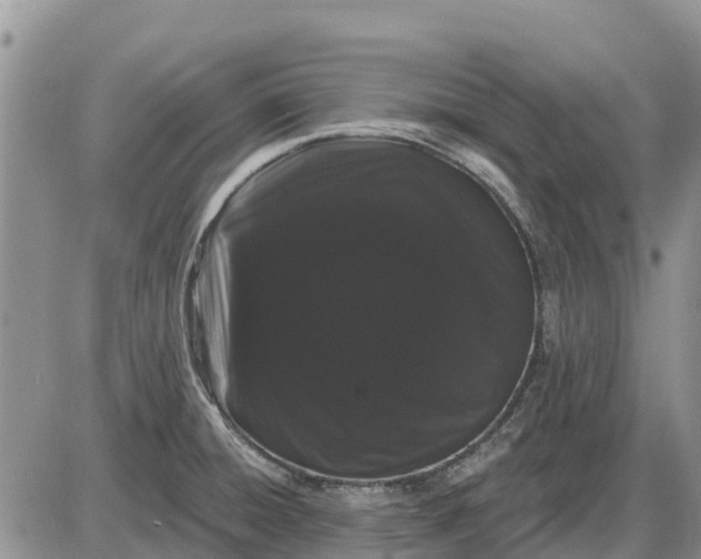 X0000085221428200703231521