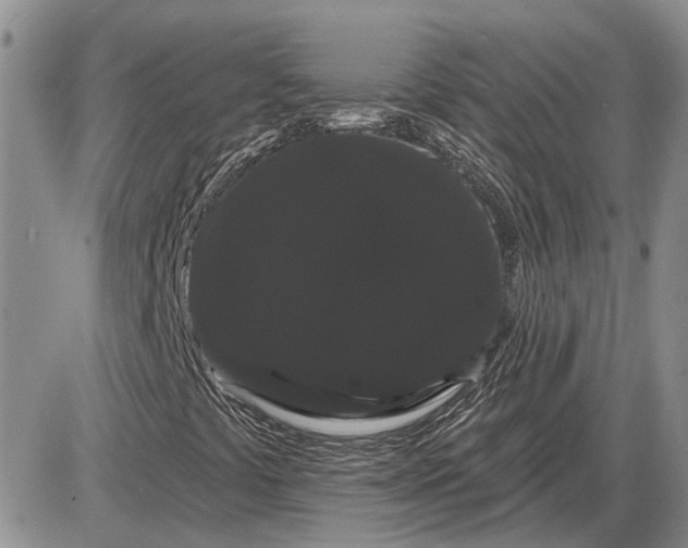 X0000085221441200703231520
