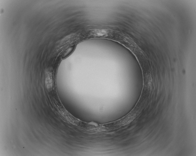 X0000085221442200703231520