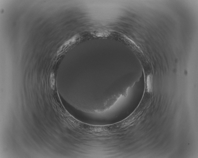X0000085221443200703231520