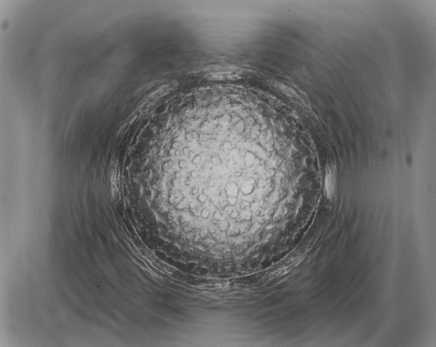 X0000085221444200703231520