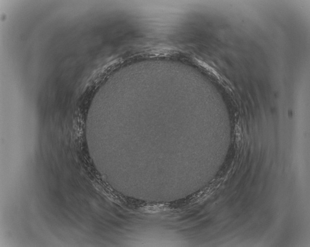 X0000085221447200703231520