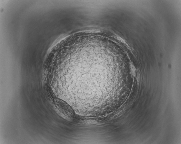 X0000085221448200703231520