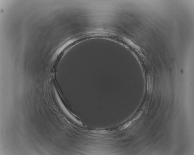 X0000085221453200703231520