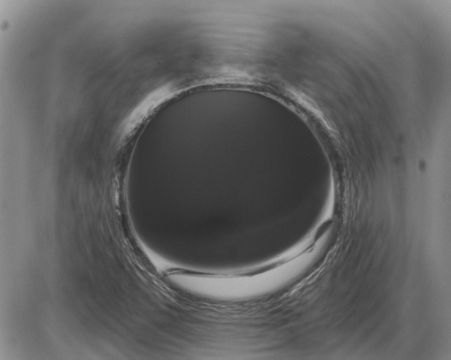 X0000085221455200703231520