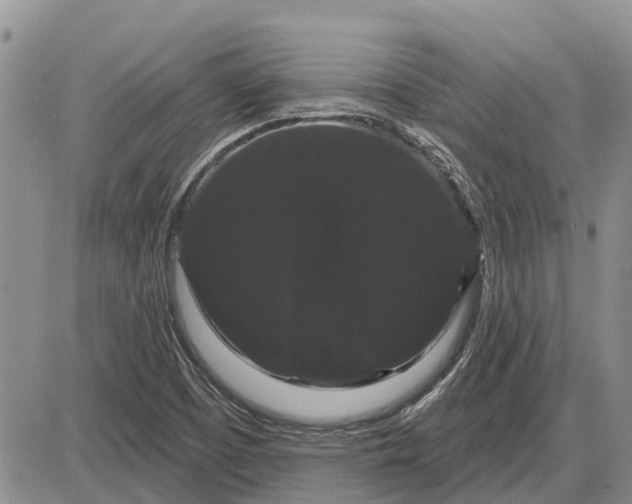 X0000085221457200703231520