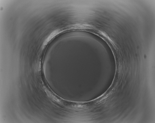 X0000085221459200703231520