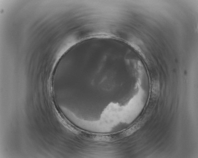 X0000085221466200703231520