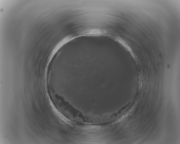X0000085221475200703231520