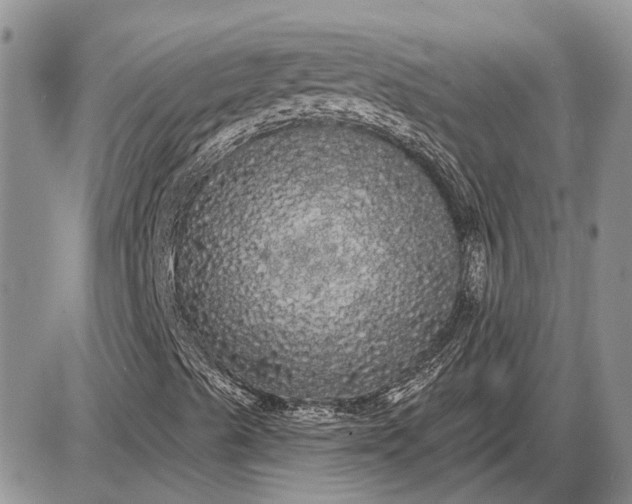 X0000085221489200703231519