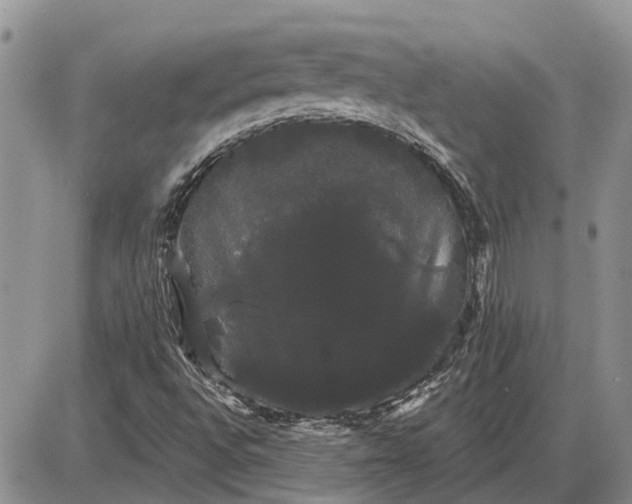X0000085221496200703231519