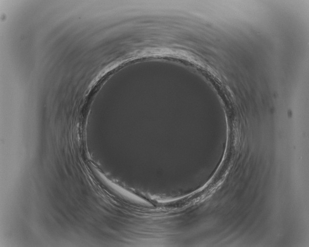 X0000085221497200703231519