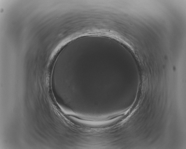 X0000085221506200703231519