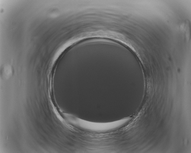 X0000085221515200703231519
