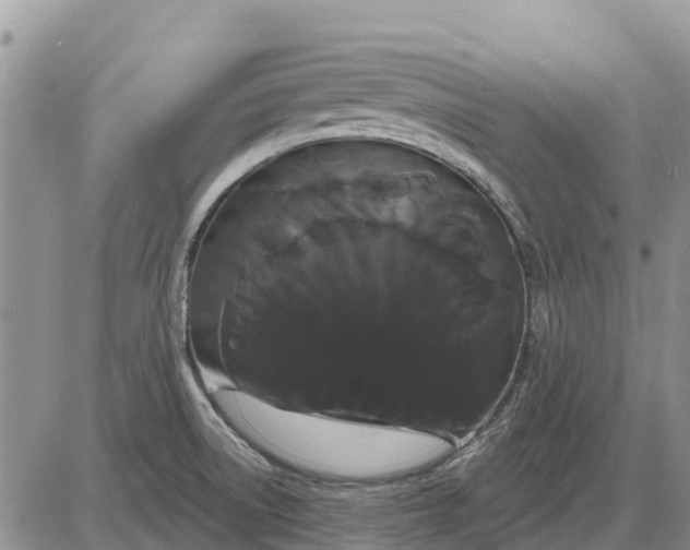 X0000085221522200703231519