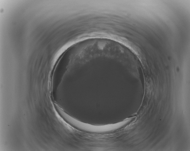 X0000085221527200703231519