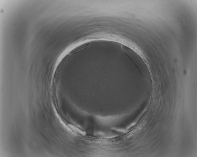 X0000085221536200703231519