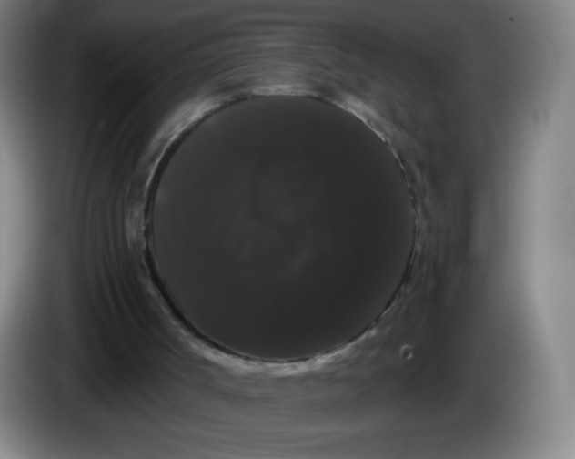 X0000085220002200703301713