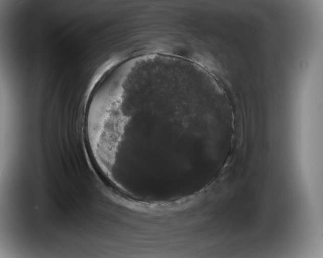 X0000085220003200703301713