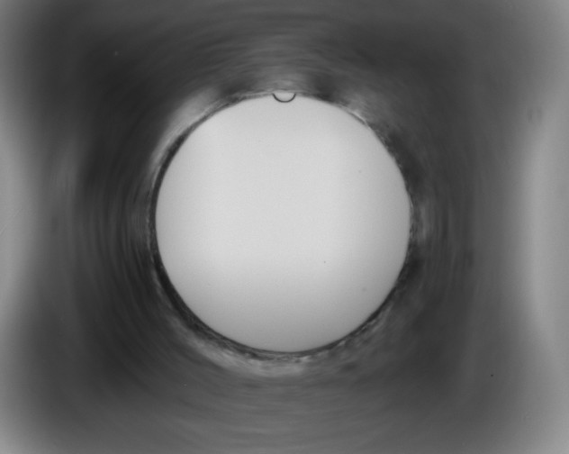 X0000085220004200703301713