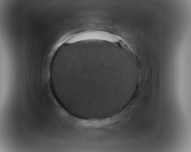 X0000085220005200703301713