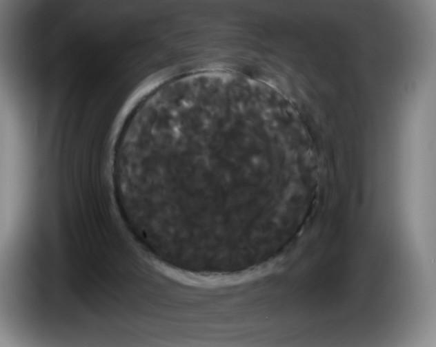 X0000085220006200703301713