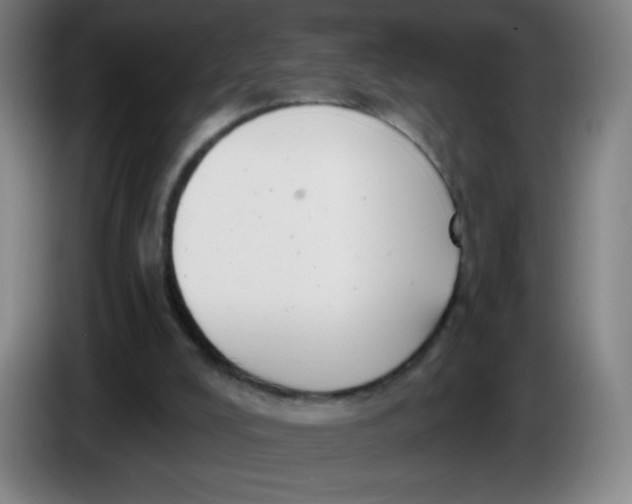 X0000085220008200703301713