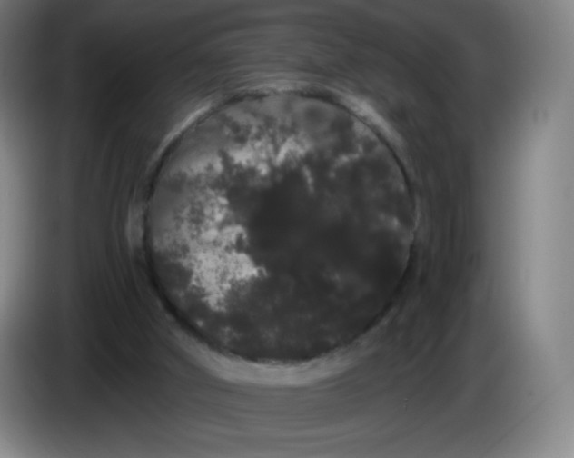X0000085220010200703301713