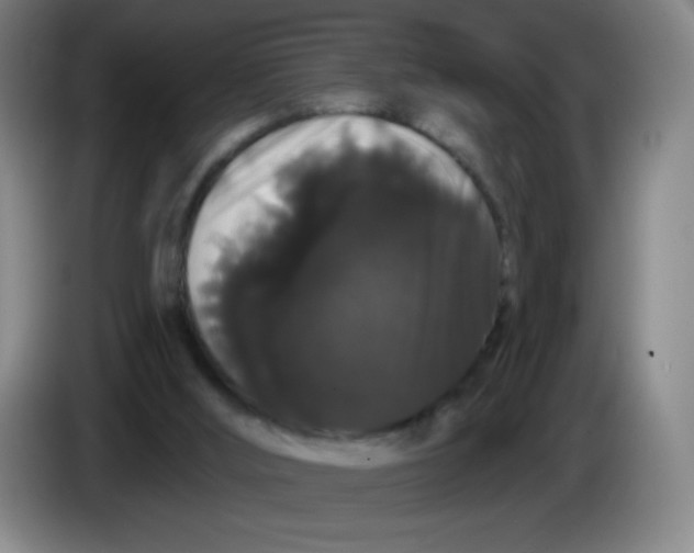 X0000085220012200703301713