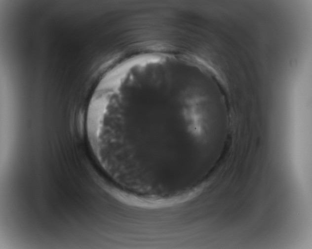X0000085220014200703301713