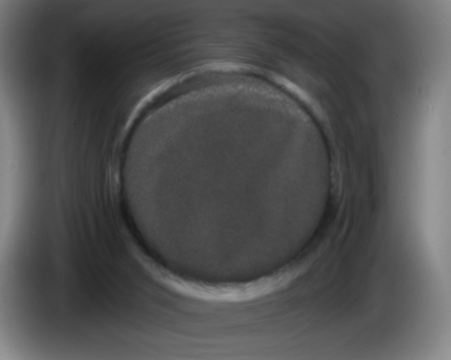 X0000085220015200703301713