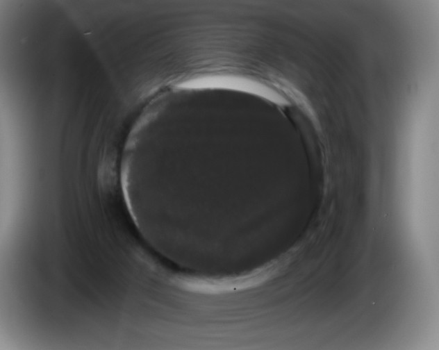 X0000085220017200703301713