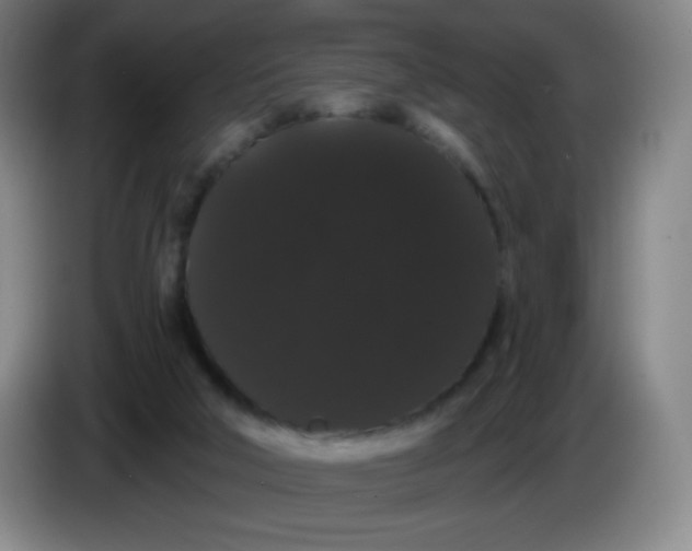 X0000085220018200703301713