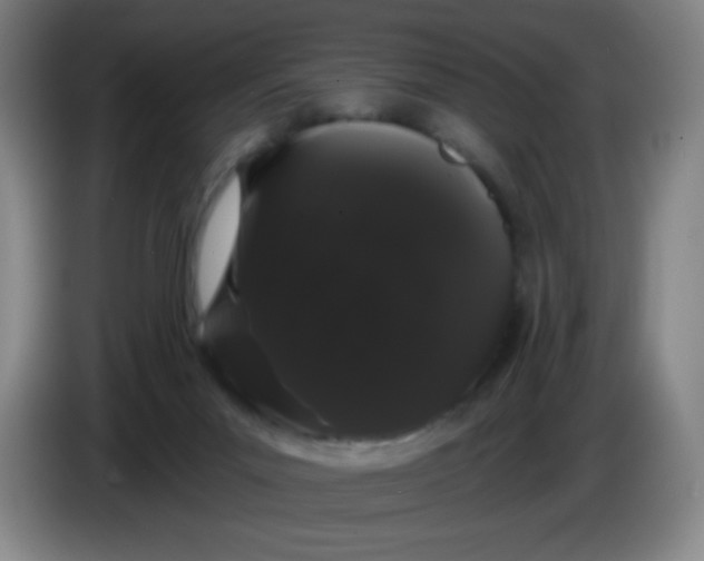 X0000085220023200703301713