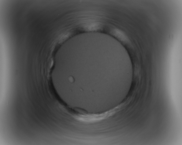 X0000085220025200703301713