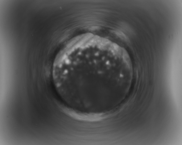 X0000085220032200703301713