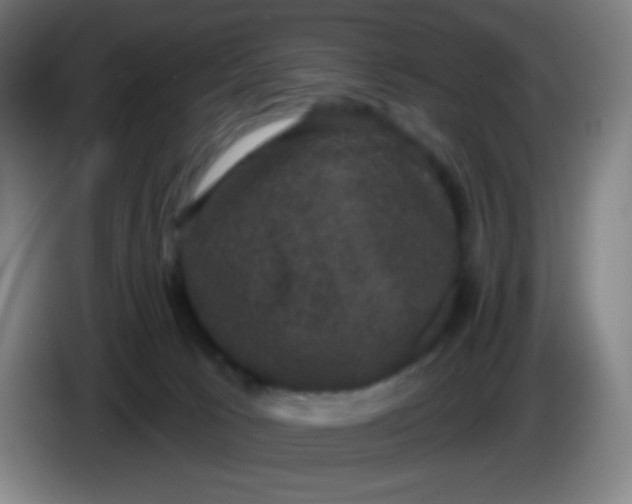 X0000085220033200703301713