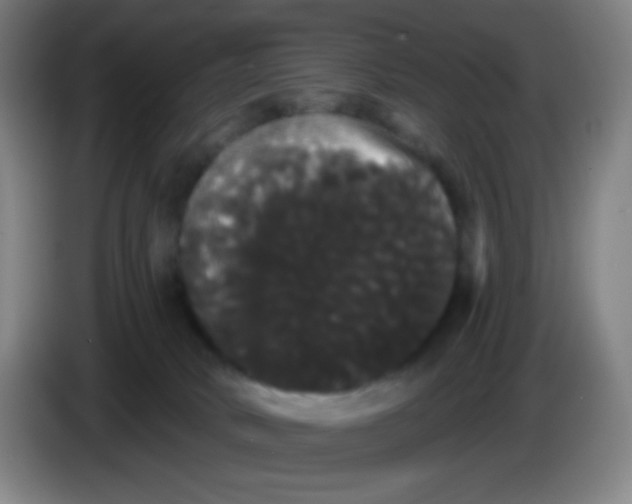 X0000085220034200703301713