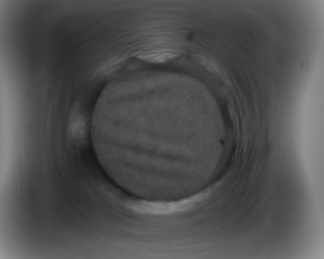 X0000085220037200703301713