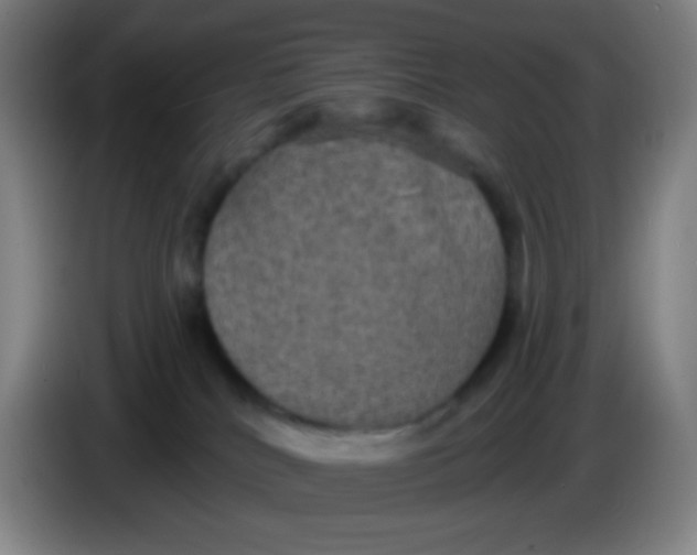 X0000085220040200703301713