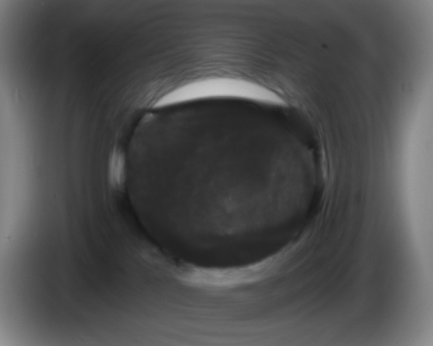 X0000085220041200703301713