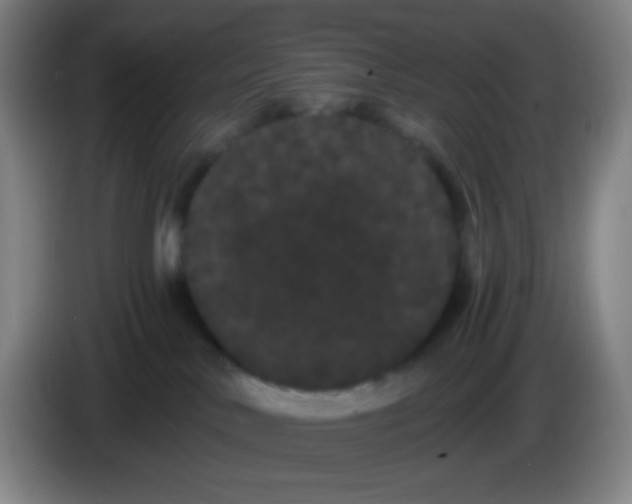X0000085220042200703301713