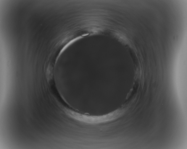 X0000085220043200703301713