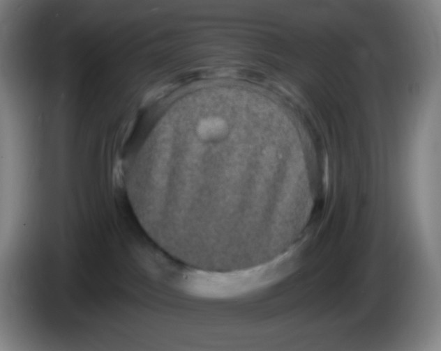 X0000085220045200703301713