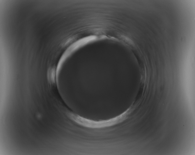 X0000085220047200703301713