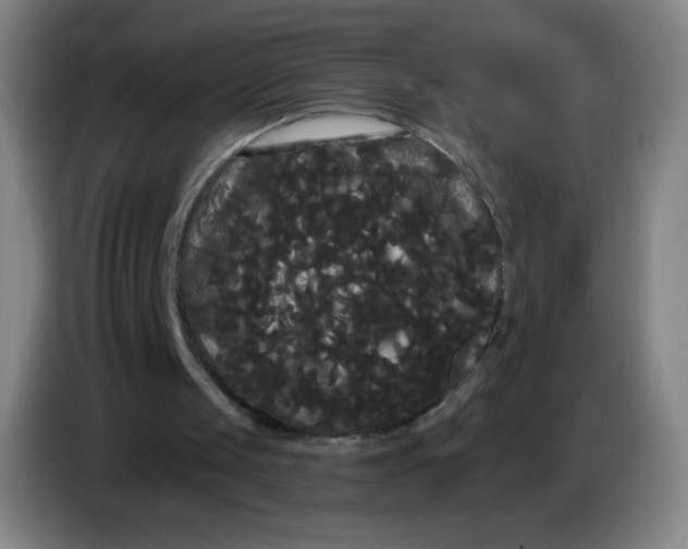 X0000085220049200703301712