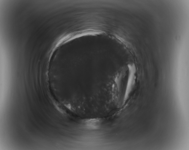 X0000085220050200703301712