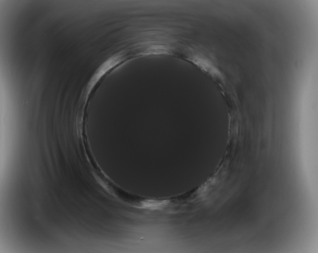 X0000085220051200703301712