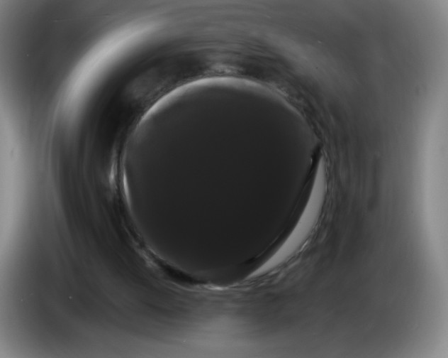 X0000085220052200703301712