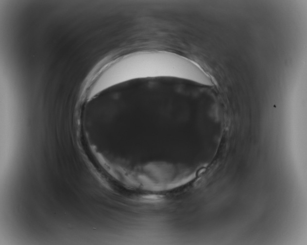 X0000085220053200703301712